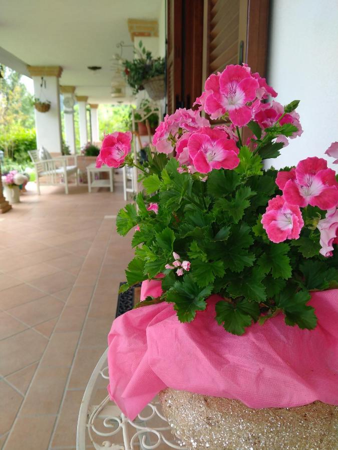 B&B Il Cantico Greccio Extérieur photo