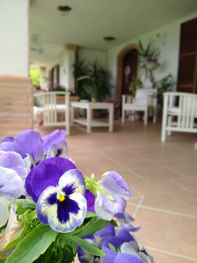 B&B Il Cantico Greccio Extérieur photo